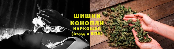 МДПВ Семилуки