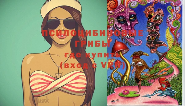мет Абаза